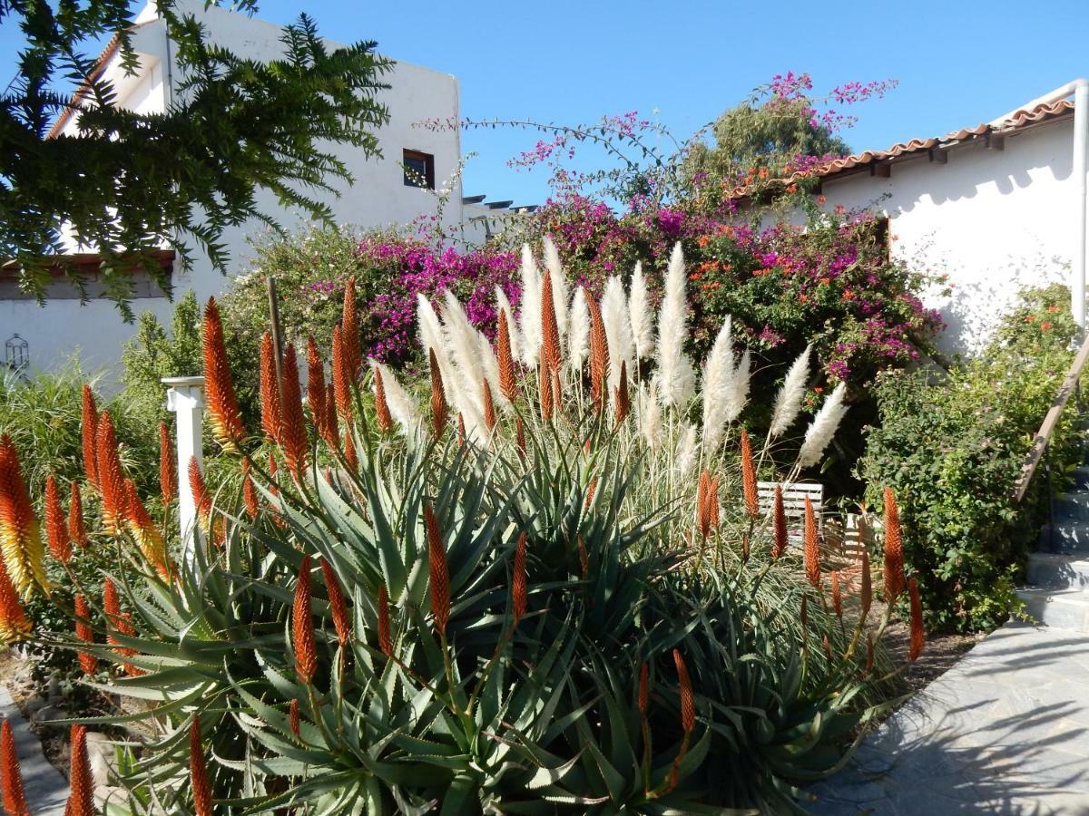 Finca Florida San Miguel de Abona Exterior photo